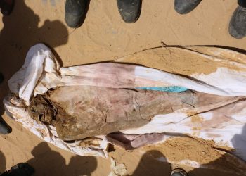 +20 People Buried Alive in Nasser Hospital