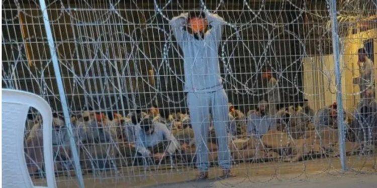 CNN Exposes Israel’s Maltreatment of Gaza Detainees at Sde Teiman