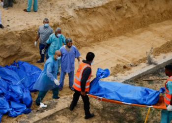 Israeli Occupation Forces Commit Massacres in Gaza, Death Toll Rises