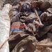 +20 Decomposed Bodies Recovered From Khan Younis