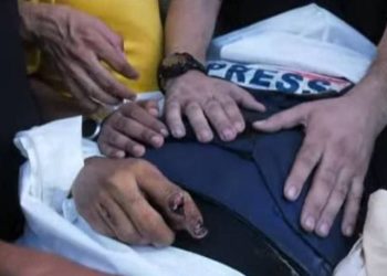 PJPC Condemns Murder of Two Journalists in Gaza