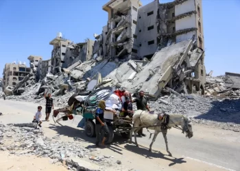 WHO: Israeli Evacuation Orders Disrupt Restoring Hospitals
