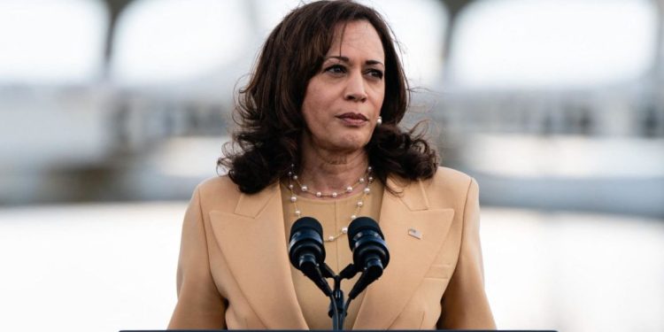 Pro-Palestine Protesters Interrupt Kamala Harris at Detroit Rally