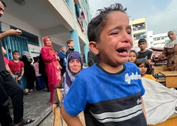 34 Palestinians killed, 96 injured in the 343-day genocide