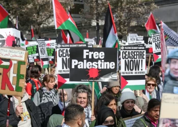 Pro-Gaza rallies sweep the world