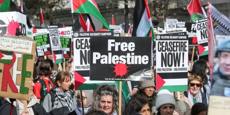 Pro-Gaza rallies sweep the world