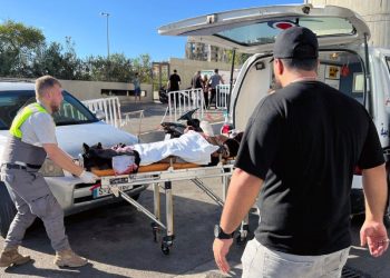 Dozens of Hezbollah members wounded by exploding pagers in Lebanon