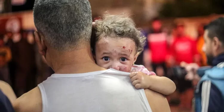 Gaza: 24 killed, 60 wounded within 24 hours