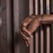 Israeli Prisons Suspend Visits Amid Scabies Outbreak