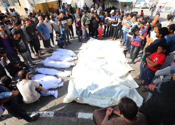 Gaza: 902 Palestinian families wiped out