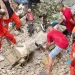Lebanon: Israel Relentlessly Strikes Hospital Entrance 