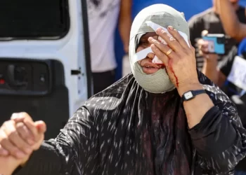 640 Palestinians killed in Israel's 17-day aggression on northern Gaza