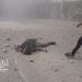 Israel commits unprecedented massacre in northern Gaza