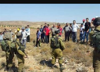 Israel Greenlights Seizure of Jerusalem’s Umm Tuba Lands
