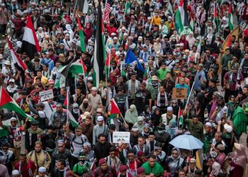 A Year of Protests: Significant Shifts in Public Opinion Favoring Palestine