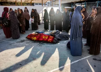 Gaza: Israel’s genocidal war wipes out 1,410 families from civil registry