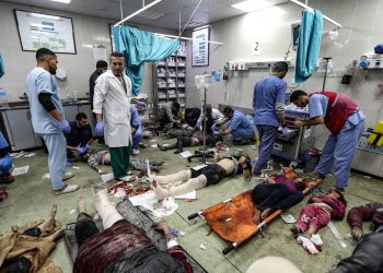 Israeli Genocide Continues with Escalating Crimes in Northern Gaza Strip