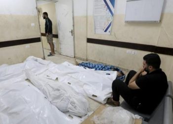 Euro-Med Uncovers Horrific Details About Shheiber Massacre of 70 Death Toll 