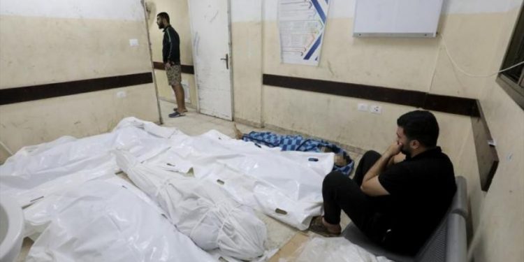 Euro-Med Uncovers Horrific Details About Shheiber Massacre of 70 Death Toll 