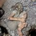 DaysofPal- At least 28 Palestinians have been killed and 120 injured across Gaza in the past 24 hours, according to the enclave’s Health Ministry.