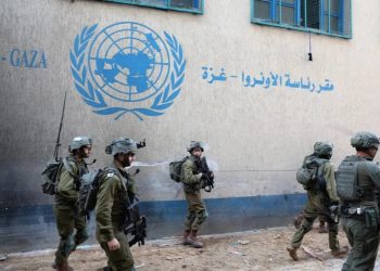 Israel Allows Looting of 109 UN Aid Trucks Entering Gaza