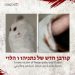 Abu Obaida: Israeli Prisoner Killed in Israeli Attack on Northern Gaza