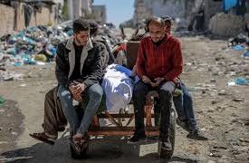 NGOs: Israel allows gangs to steal aid, worsening Gaza's starvation