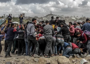 WHO Warns of Impending Famine in Northern Gaza as Israeli Genocide Continues