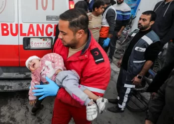 Israeli attacks on Gaza shelters kill 20 people