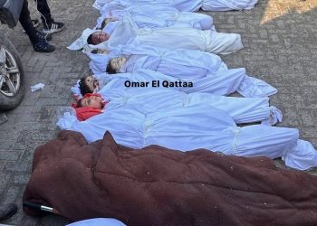 7 Children of Khilla Family Murdered in Israeli Airstrike on Jabalia
