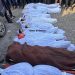 7 Children of Khilla Family Murdered in Israeli Airstrike on Jabalia