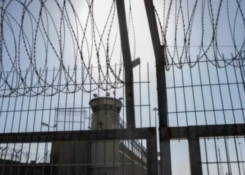 Five Palestinian Prisoners Killed in 24 Hours in Israeli Custody