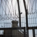 Five Palestinian Prisoners Killed in 24 Hours in Israeli Custody