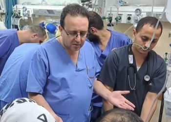 Israel Systematically Targets Scientific Expertise in North Gaza