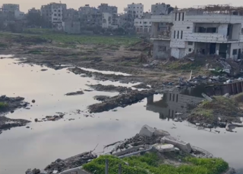 Gaza Faces Environmental Catastrophe as Rainwater Basin Overflows