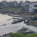 Gaza Faces Environmental Catastrophe as Rainwater Basin Overflows
