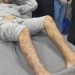 PPC: Freed Palestinian Prisoners Face Severe Abuse, Medical Neglect