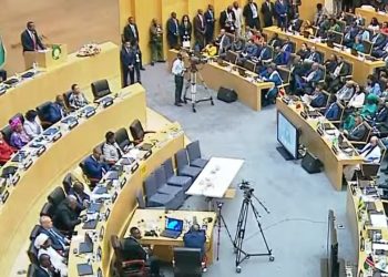 African Union Summit Concludes with Strong Stance on Palestine