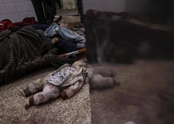 OCHA: Israel killed over 170 Children in One Single Day