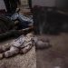 OCHA: Israel killed over 170 Children in One Single Day