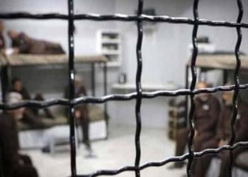 Dangerous Virus Spreads Among Palestinian Prisoners in Israel’s Megiddo Prison
