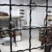 Dangerous Virus Spreads Among Palestinian Prisoners in Israel’s Megiddo Prison