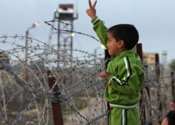Egypt, Saudi Arabia Condemn Israel’s Blockade of Humanitarian Aid to Gaza
