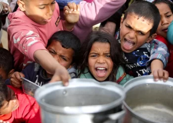 UN Experts Condemn Israel for ‘Weaponized Starvation’ in Gaza 