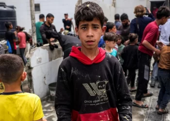 Israeli Writer Describes Aid Provision to Gazans as Feeding Sharks