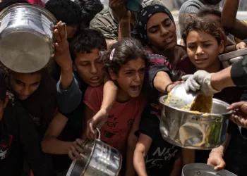 Gaza: UN Food Stocks Depleted Amid Israel’s Ongoing Aid Blockade