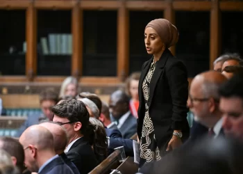 Israel Deports 2 British MPs for Protesting Gaza Genocide