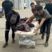 UNICEF: Over 320 Children Killed in Gaza in Just 10 Days 