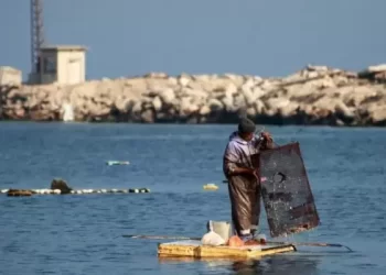 Israeli Forces Target Gaza Fishermen, Causing Multiple Injuries 