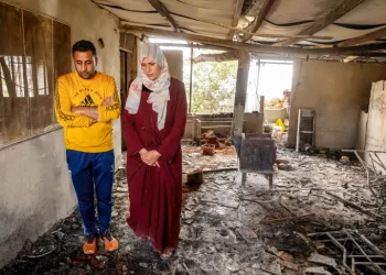 Palestinian Bedouins Say They’re Being Terrorized Off Their Land by Israeli Settlers